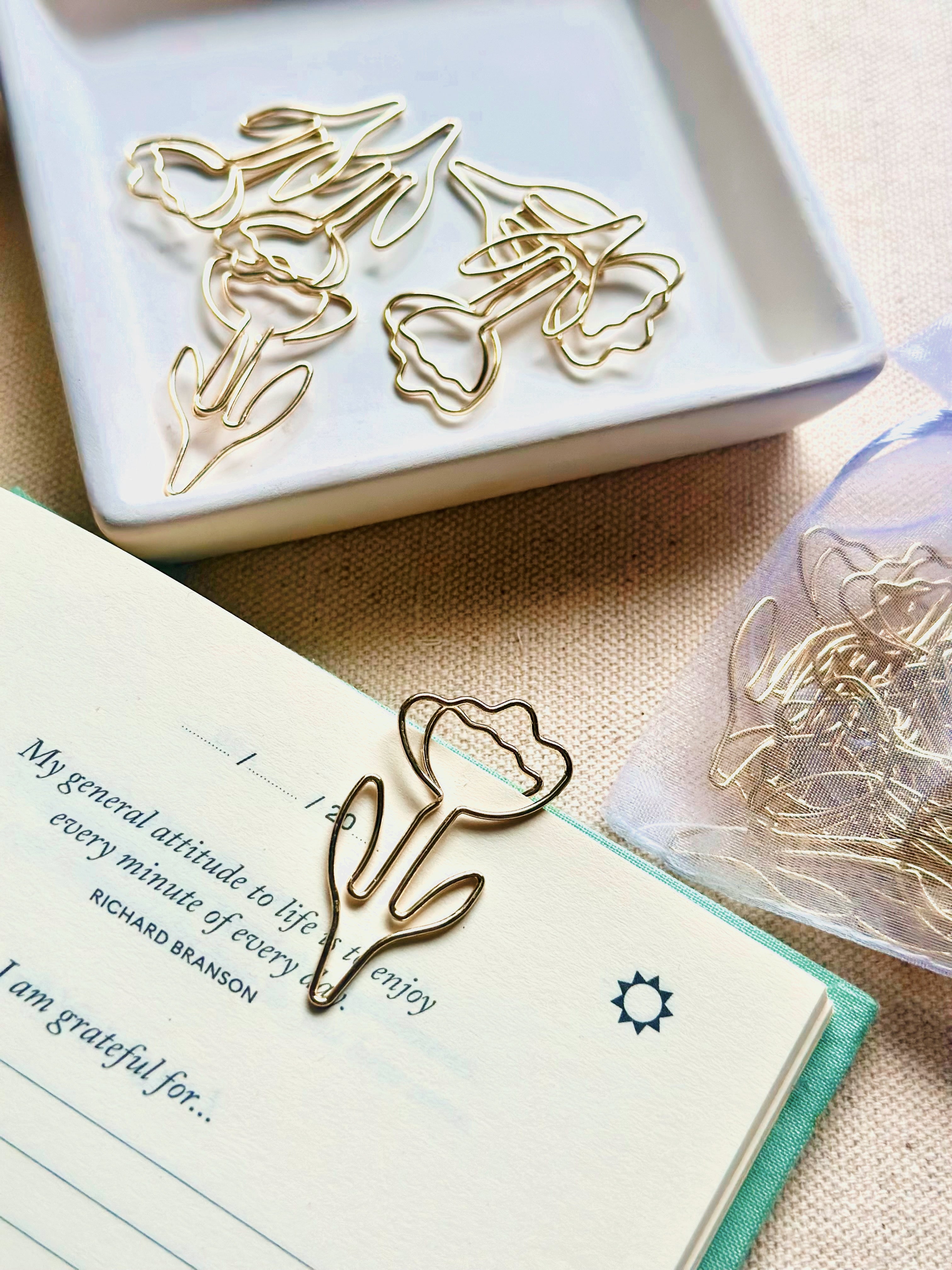 Paper Clips